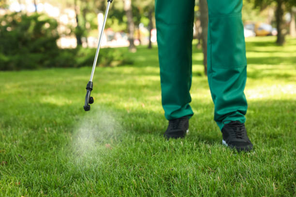Best Termite Control Services  in Delavan, IL