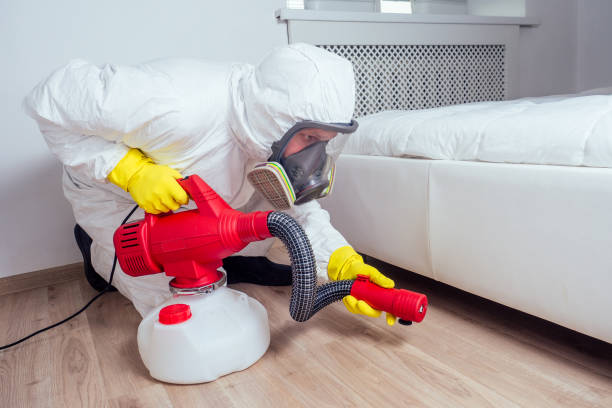 Best Pest Control Near Me  in Delavan, IL