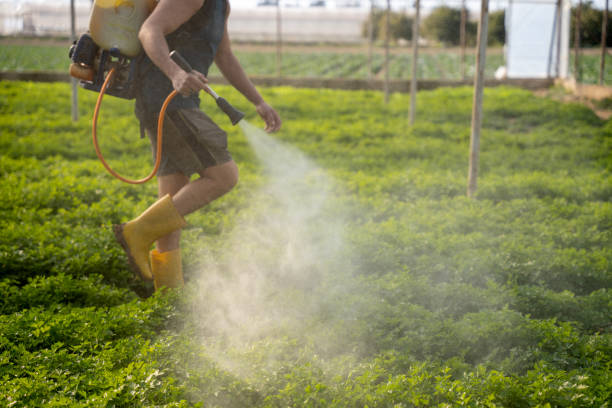 Reliable Delavan, IL Pest Control Solutions
