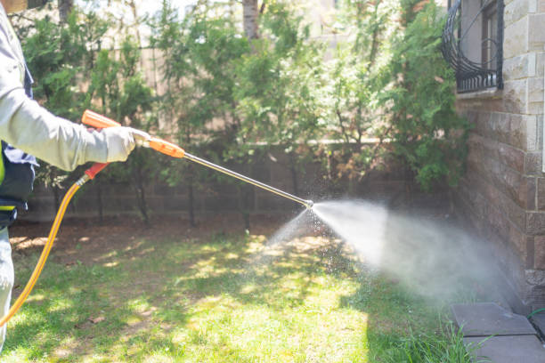 Best Exterminator Services  in Delavan, IL