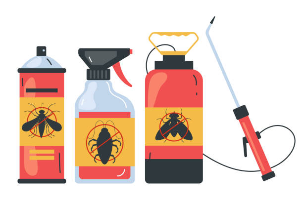 Best Spider Control Near Me  in Delavan, IL