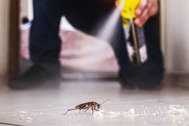 Best Best Pest Control Companies  in Delavan, IL