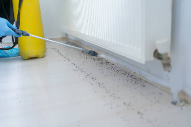 Best Affordable Pest Control Services  in Delavan, IL